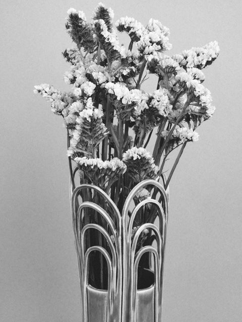 Vestige 1